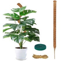 JJGoo 수제 이끼기둥 식물지지대 관엽식물기둥 식물성장유인줄 몬스테라기둥 식물말뚝 구부림가능 원예테잎포함, 119.4 cm