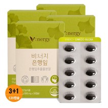 휴럼 비너지 은행잎 기억력 식물성 3박스+ 1 무료증정, 단품, 단품