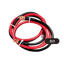 순수정현파 차량용 캠핑용 GSP 국산 인버터 캠핑 차박 전기 12v 2000w 3000w, 실리콘전선1M