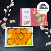 [꿀당도] 프리미엄 한라봉 제주한라봉 선물세트 선물용 가정용, 가정용 3kg (혼합과 / 12과수내외)