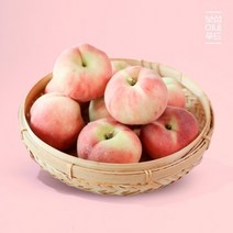 보섭이네푸드 [보섭이네푸드] 상콤달콤 대극천 복숭아 1kg(7-10개), 단품없음