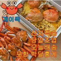 [산지직송] 국내산 포항 게이득 박달홍게 3kg 수율80, 가성비(70%이상), 10미~12미 (3kg)