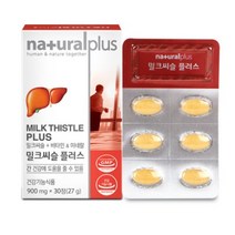 내츄럴플러스 간건강 밀크씨슬 60캡슐 3박스/6개월분, 60캡슐 x 3통, 1000mg