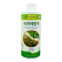 팝아쿠아 원터치 이끼예방제 250ml, 1개