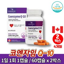코스트코 캐나다 큐엔자임 코엔자임 큐텐 코큐텐 COENZYME q10 고쿠텐 코큐10 실버 어르신 혈압 활력 영양제, 2박스, 2개