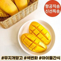 [기간한정 프로모션] 항공직송 태국 무지개 망고 2.5kg, 2.5kg(5~9과), 1개