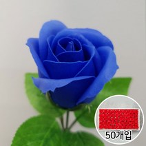 이플린 비누꽃 재료 비누 장미 꽃다발 꽃바구니 DIY, 01.3겹장미-50개입_잎사귀_진파랑