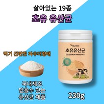 비카인 초유 단백질 분말 혼합 19종 초유 lgg 유산균 농축 유청 단백 분말 면역글로불린 프로바이오틱스 락토바실러스 가세리 애시도필러스 람노서스 WPC 어린이 면역력 장 건강