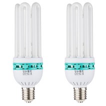 장수램프 백열전구 75W EFPE75EX-D E39 2p, 주광색, 1개