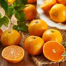 좋은맛닷컴 [초록자연] 하우스 감귤 5kg(S) 제주 밀감, 상세 참조