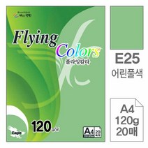플라잉칼라(E25.어린풀색/A4/120g/20매), 단품