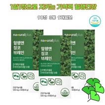 은행잎추출 플라보놀 중년 어르신 기억력 혈관건강 켐페롤 빌로발라이드 징코라이드 혈행 순환 개선영양제