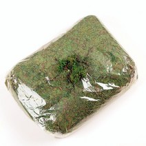 미니어처하우스 diy 집만들기 모형 30g/봉지 60g/봉지 건축 재료 녹색 이끼 잔디 마이크로스케이프 수제 DIY 재료 가정 장식, 02 B-60g