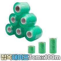 접목 테이프