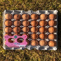 유나계란 농장 직배송 왕란(무항생제), 30구, 1개