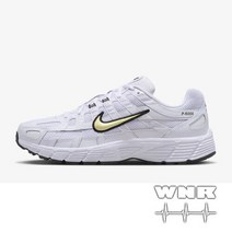 나이키 P-6000 FN4294-100