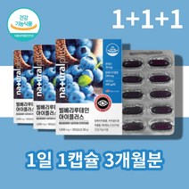 뉴태인 뉴테인 루테인 안토시아노사이드 마리골드 꽃 빌베리 추출물 분말 가루 캡슐, 빌베리루테인30캡슐 x3박스