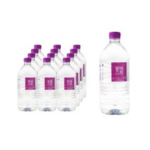 몽베스트 생수 1000mL X 48개, 단품