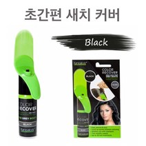 캄파룩 SOS 컬러 스프레이 /컬러스프레이/칼라스프레이/새치커버/간편새치커버/헤어컬러/헤어칼라/캄파룩, 캄파룩 SOS 컬러 스프레이 (블랙), 캄파룩 SOS 컬러 스프레이 (블랙)