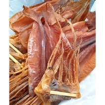 통영산 쫄쫄이 배오징어 중(10/5마리), 5마리