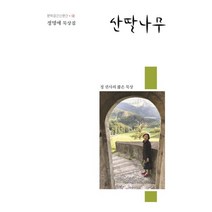 산딸나무:정명애 묵상집 | 정 권사의 짧은 묵상, 한강출판사, 9788957944608, 정명애 저