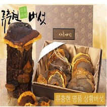 류충현약용버섯 명품 상황버섯 목질진흙버섯 원물 무농약 친환경인증 효능 상황버섯차 상황버섯주 선물용 선물세트 국내산, 1개, 500g