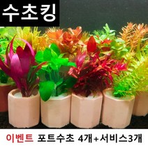 수초맛집 수초킹 키우기 쉬운 포트수초랜덤+모스볼 마리모 부상초 비료 중 랜덤지급, 1개