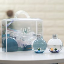 미니가든 마리모 선물세트 커플B 2개1세트 마리모포함 마리모DIY 마리모키우기