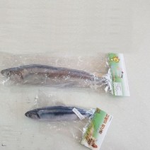 고양이 장난감 꽁치(20cm), 2개