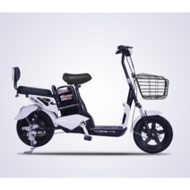 우도 전기자전거 electric bicycle 출퇴근용 전동자전거 스쿠터 바이사이클, 골드, 12A 50km