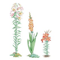 원예지주 철예 꽃꽂이 단식물 받침대 백합당창포털 황화파 꽃꽂이YQ111102, 녹색 45cm4 PC/세트, 중간