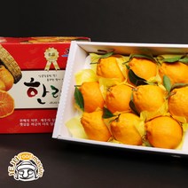 현가원 서귀포 한라봉 2kg (5-8과/실중량), 단품