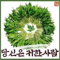 [하랑하제] GAP 당귀잎 (산지직송/당일배송), 220g