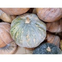 (홍열팜)정직한 늙은 호박즙 유기농호박 통째로 갈아만든 호박즙 110ml 다이어트 붓기제거, 100포