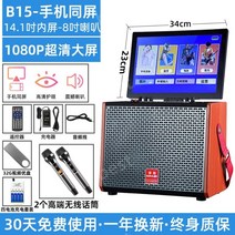 휴대용노래방 홈노래방 야외용 고출력 스피커 마이크스피커 노래방기기 휴대용앰프 블루투스앰프, 휴대폰동일화면버전에는무선마이크2개