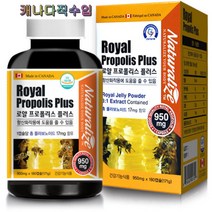 네추럴라이즈 로얄 프로폴리스 180캡슐 3박스 식약처인증 비타민B 캐나다직수입 로얄젤리