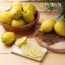 [한경농협] 제주 초록레몬 2kg/4.5kg, 레몬4.5kg
