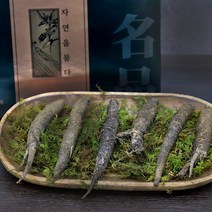 더덕 자연산 산더덕 차 구이 효능 몸을따뜻하게하는 선물세트
