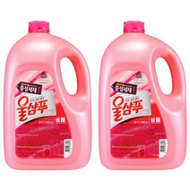 울샴푸 오리지널 중성세제 본품, 4.16L, 2개