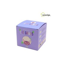 고양이 캣그라스 캣닢 3개 고양이풀 미니화분키우기