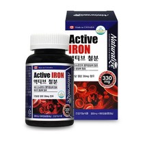 임산부 수유부 Active 철분 푸마르산제일철 100캡슐 목넘김편한