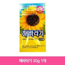 롯데 해바라기 초코볼 30g 1개 초콜릿 사무실 간식 해바라기초코볼 해바라기초콜릿 해바라기초콜렛 초콜릿 초코렛 업소용 가정용 식자재 식재료 음식점 식당, 본상품선택