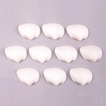 대형조개화석 몰드(10개입) - 31684