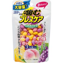 씹는 브레스 케어 캔디 세트 3가지 맛 100알, 1개