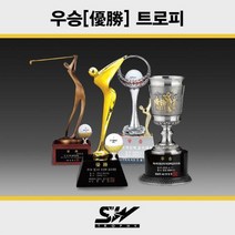 골프트로피 메달리스트 우승 시상식대회트로피_SWT-374