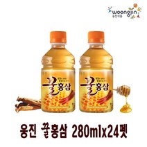 웅진 꿀홍삼 280mlx24펫 (유통기한 24.01.05), 상세페이지 참조, 상세페이지 참조