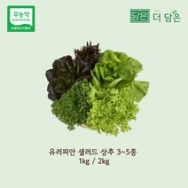 친환경 무농약 유러피안 샐러드 상추 1kg 2kg 로메인 버터헤드 크리스탈 바타비아 멀티리프 레드버터헤드 레드멀티리프 레드오크리프 수확 출고 스마트팜 수경재배, 혼합