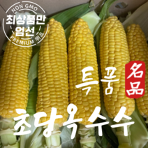 국내산 초당옥수수 프리미엄 특품 달달한 초당옥수수 5개