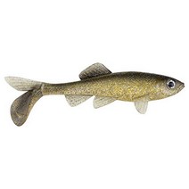 Berkley PBBSF3-BSHG PowerBait Sick Fish Swimbait Fishing Bait 3