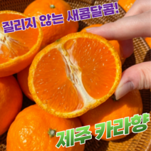 [바농프레시] 고당도 제주 카라향 2kg 4kg, 제주 카라향 2kg 내외